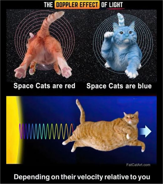doppler caturday majorgeeks.jpg